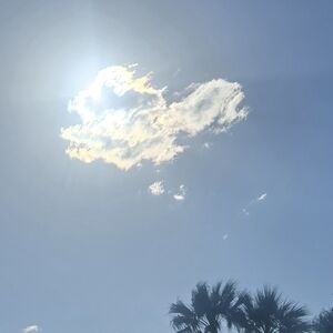 Meet your Posher, Sonia